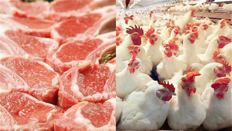 تباين أسعار الدواجن واللحوم في الأسواق اليوم