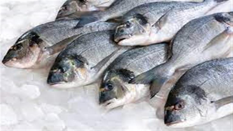 أسعار الأسماك اليوم الجمعة بسوق العبور