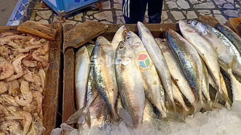 أسعار الأسماك بسوق العبور تستقر مع حلول عيد الأضحى