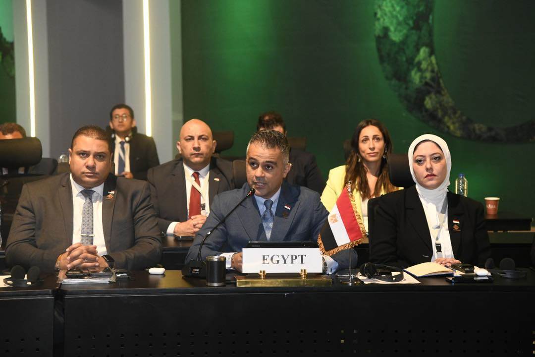 عضو تنسيقية شباب الأحزاب والسياسيين : قضية تغير المناخ على رأس التحديات التي تواجه العالم اليوم 2 عضو تنسيقية شباب الأحزاب والسياسيين : قضية تغير المناخ على رأس التحديات التي تواجه العالم اليوم