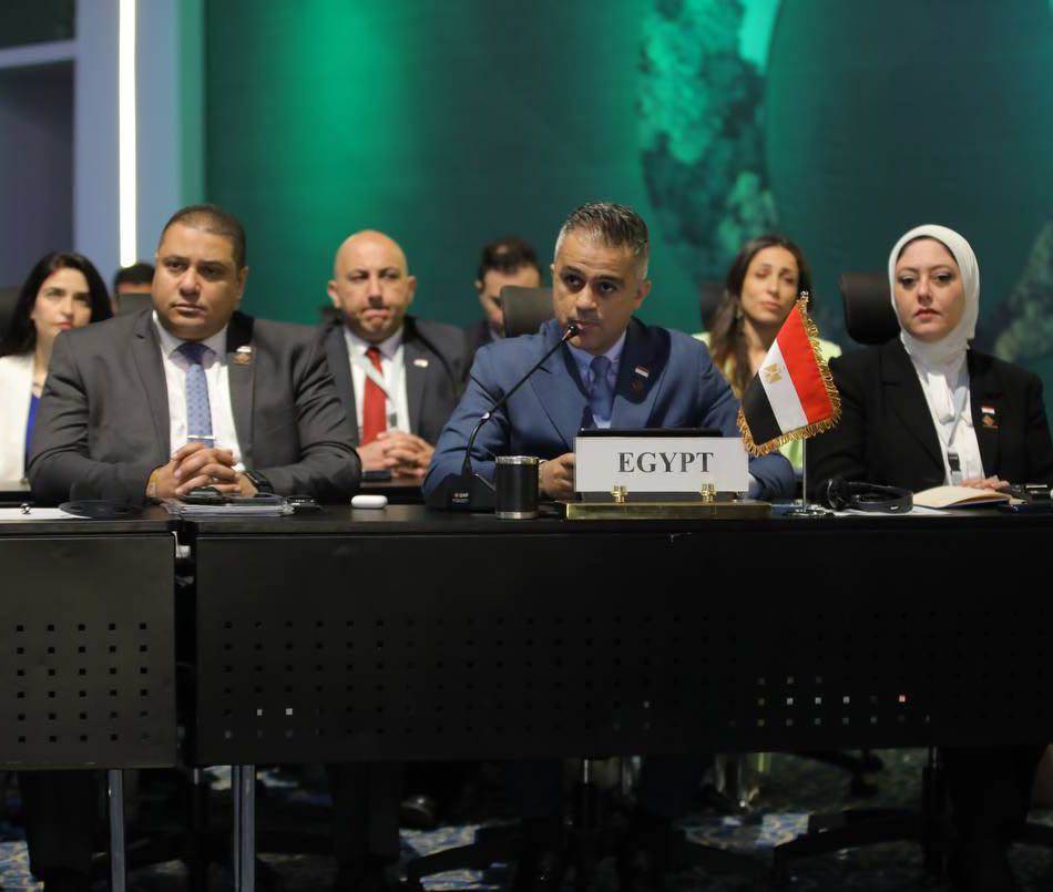 عضو تنسيقية شباب الأحزاب والسياسيين : قضية تغير المناخ على رأس التحديات التي تواجه العالم اليوم 1 عضو تنسيقية شباب الأحزاب والسياسيين : قضية تغير المناخ على رأس التحديات التي تواجه العالم اليوم