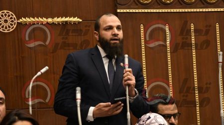 محمود تركي "نائب التنسيقية" يدعو "التخطيط" لمراجعة خطط دعم وتمويل المحافظات