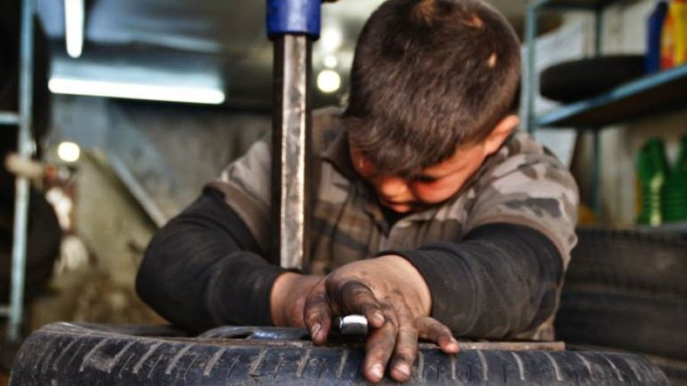 منها إبلاغ الجهات المختصة بأسمائهم.. التزامات على صاحب العمل حال تشغيل أطفال