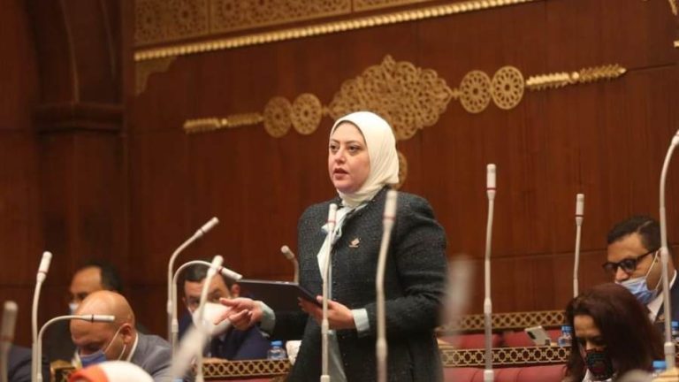 "طاقة الشيوخ" توافق على مقترح نائبة "التنسيقية" بإنشاء م مصر24التكيف والمرونة الأفريقي
