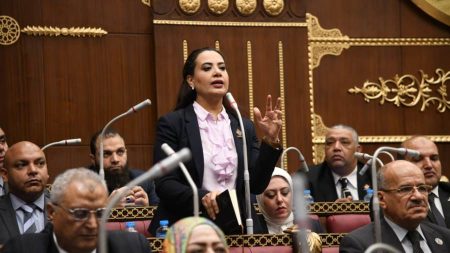 راجية الفقى "نائبة التنسيقية" تطالب بإحتساب منع الترشح على المقاعد الرياضية منذ زوال المخالفة