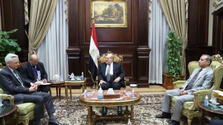 رئيس الشيوخ يطالب سفير فرنسا بدعم بلاده لمصر فى ملف الأمن المائي وأزمة سد النهضة