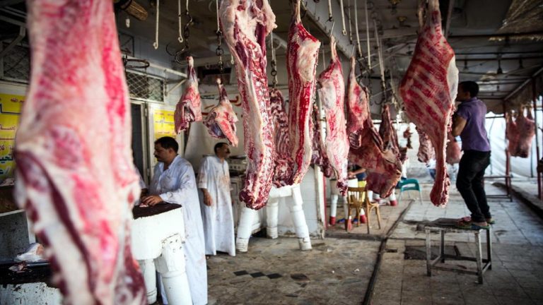 وزير الزراعة: الحكومة أنفقت 7 مليارات جنيه لتثبيت أسعار اللحوم
