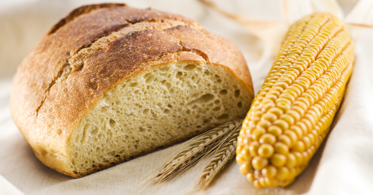 خبز من خليط الذرة والقمح