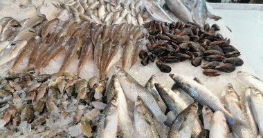 "خطة النواب": الحكومة تستهدف زيادة الإنتاج السمكى لـ3.5 مليون طن بالموازنة الجديدة