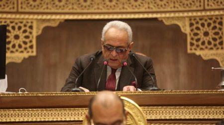 بهاء أبوشقة وكيل أول مجلس الشيوخ يهنىء الرئيس  والمصريين بثورة يونيو