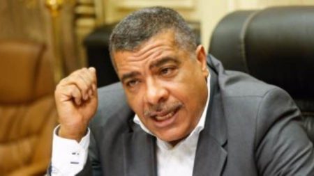 رئيس صناعة النواب: مصر استعادت دورها ومكانتها في الإقليم والعالم بعد ثورة 30 يونيو 