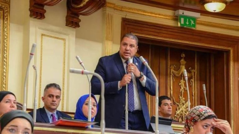 "النواب" يستجيب لتعديلات محمد إسماعيل " نائب التنسيقية" على قانون "قادرون باختلاف"