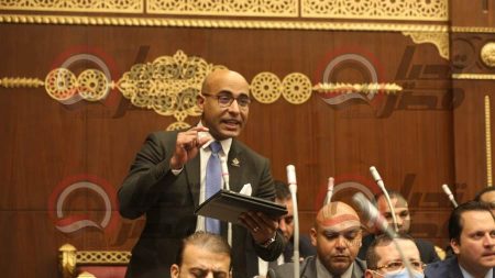 النائب علاء مصطفى: "مصر الرقمية" دليل خطوات الدولة الجادة نحو التحول الرقمية والتنمية المستدامة