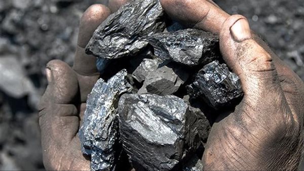 عائد سنوي يفوق الخيال.. دراسة جدوى لمشروع تجارة الفحم بدعم من تنمية المشروعات الصغيرة