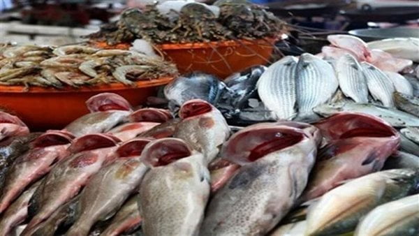 أسعار الأسماك اليوم الجمعة 23-9-2022 في الأسواق