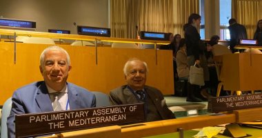 خارجية النواب باجتماعات الجمعية العامة للأمم المتحدة: التنمية والمناخ أولوية