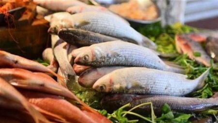 أسعار الأسماك اليوم الخميس 20-10-2022 في الأسواق