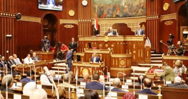 "خارجية الشيوخ" تناقش سبل تعظيم مكانة مصر الدولية من خلال استضافة قمة المناخ