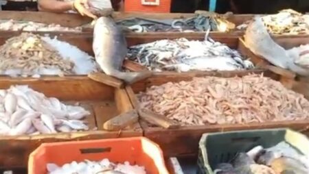 أسعار الأسماك اليوم السبت 15-10-2022 في الأسواق