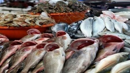 أسعار الأسماك اليوم السبت 19-11-2022 في الأسواق