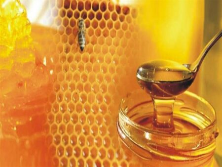 النحل مهدد بالانقراض.. هل يختفي العسل الأبيض من العالم قريبا؟