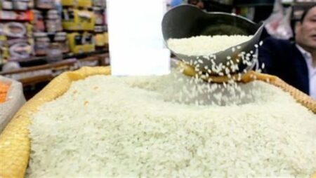 أسعار الأرز، توفير الأرز في المجمعات بـ 14.5 جنيه للكيلو (فيديو)