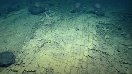 بالفيديو.. هل عثر علماء على طريق أتلانتس في قاع المحيط الهادي؟