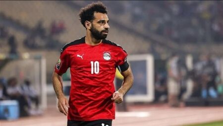 كأس العالم 2022، عمرو أديب يعلنها صراحة ويكشف سر عدم تهنئة محمد صلاح المغرب