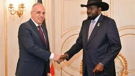 وزير الري يؤكد لسلفا كير تأييد مصر للاتفاق المنشط بين الأطراف في جنوب السودان