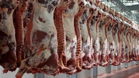 250 جنيها سعر كيلو اللحم البلدي حاليا بالأسواق(فيديو)