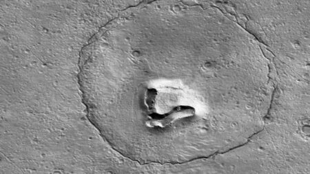 صورة تثير الجدل.. هل عثرت ناسا على رأس دب فوق المريخ؟