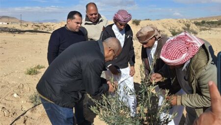 "بحوث الصحراء" يطلق حملة إرشادية لمكافحة آفات الزيتون بوسط سيناء