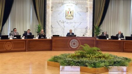 مجلس الوزراء يوافق على نقل ملكية أسهم شركة النصر للتصدير والاستيراد