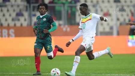 أمم أفريقيا للمحليين، السنغال يتخطى مدغشقر ويتأهل لمواجهة الجزائر في النهائي
