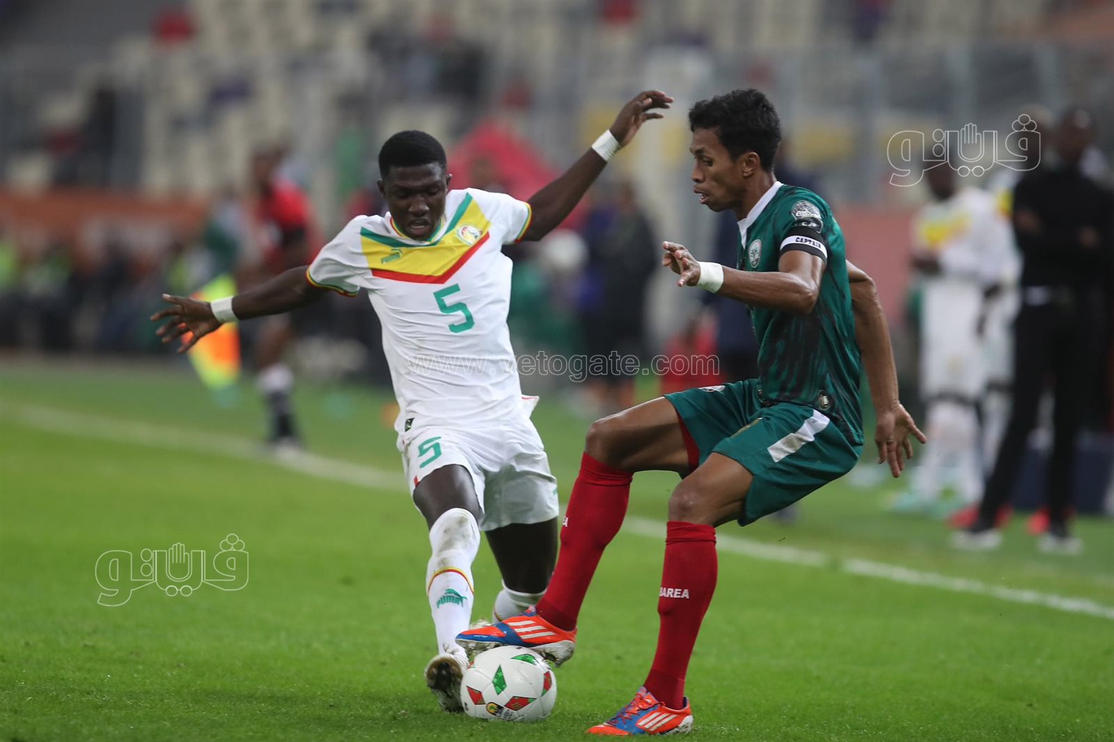 أمم أفريقيا للمحليين، السنغال يتخطى مدغشقر ويتأهل لمواجهة الجزائر في النهائي 18 أمم أفريقيا للمحليين، السنغال يتخطى مدغشقر ويتأهل لمواجهة الجزائر في النهائي
