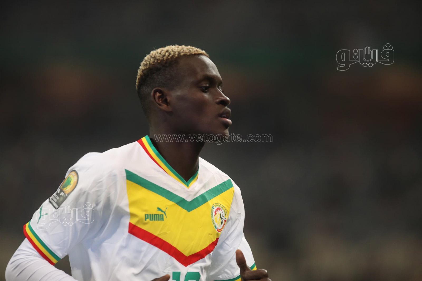 أمم أفريقيا للمحليين، السنغال يتخطى مدغشقر ويتأهل لمواجهة الجزائر في النهائي 29 أمم أفريقيا للمحليين، السنغال يتخطى مدغشقر ويتأهل لمواجهة الجزائر في النهائي