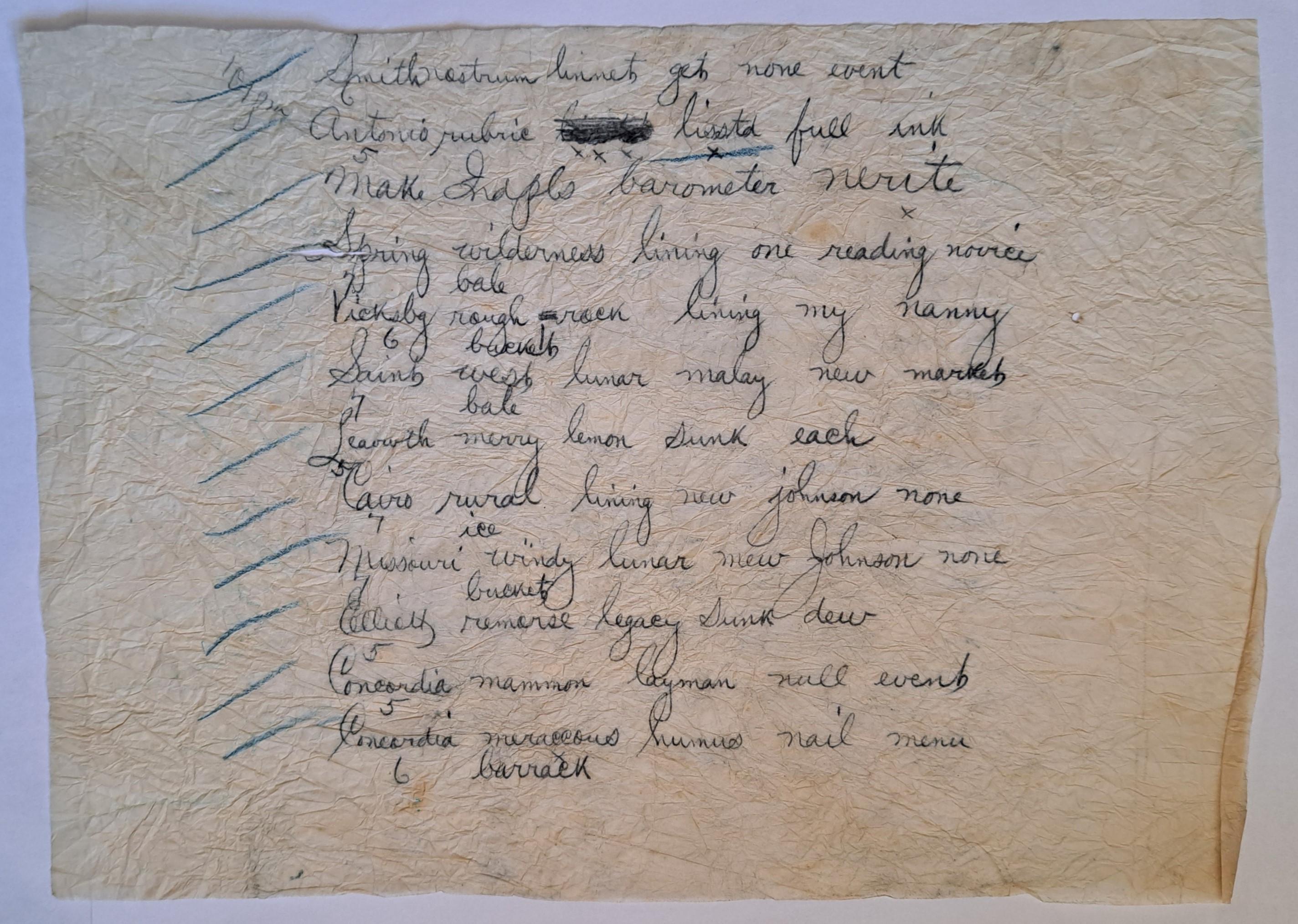 A photo of a yellowing page of crumpled paper showing 12 lines of handwritten text. Some of the lines have smudged words while the second one has a word scratched out. Each line is preceded by a blue tick. 