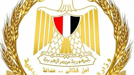 غداً.. التموين تنظم سوق اليوم الواحد بالمرج بالتنسيق مع محافظة القاهرة