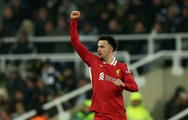 فيديو | أسيست عالمي من محمد صلاح.. جونز يسجل هدف تعادل ليفربول ضد نيوكاسل