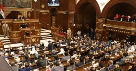 برلمانى: قانون الضمان الاجتماعى يعزز التمكين الاقتصادى للأولى بالرعاية