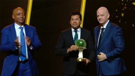 وزير الرياضة يتسلم جائزة الإنجاز الرياضي نيابة عن الرئيس السيسي