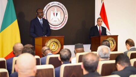 وزير الخارجية يبحث مع نظيره المالي سبل تعزيز التعاون في مختلف القطاعات