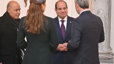 غدا.. السيسي يلتقي رئيسي الوزراء والبرلمان الدنماركيين