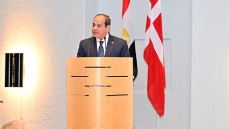 السيسي لملك الدنمارك: علينا تحمل مسئولية نشر قيم العدالة والسلام