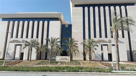 إنجازات قطاع الاتصالات المصرى فى 2024 قفزات نوعية ترسم ملامح المستقبل