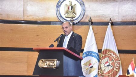 وزير العمل يسلم عقود عمل لذوي همم بالقاهرة