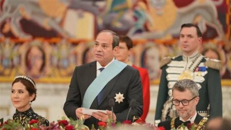 السيسي يدعو ملك الدنمارك لزيارة القاهرة احتفالًا بافتتاح المتحف المصري الكبير