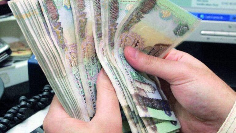 سعر الدرهم الإماراتي أمام الجنيه اليوم الاثنين 30-12-2024