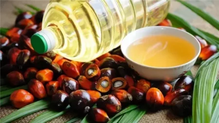 هبوط مخزون ماليزيا من زيت النخيل ومخاوف من ارتفاع الأسعار العالمية