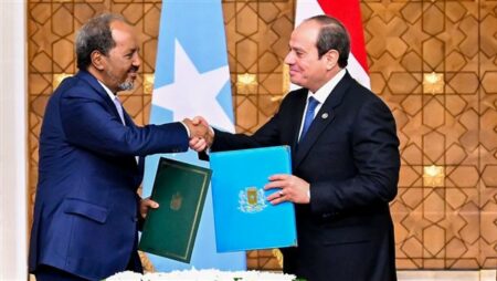 تفاصيل الإعلان المشترك لترفيع العلاقات بين مصر والصومال لمستوى الشراكة الاستراتيجية